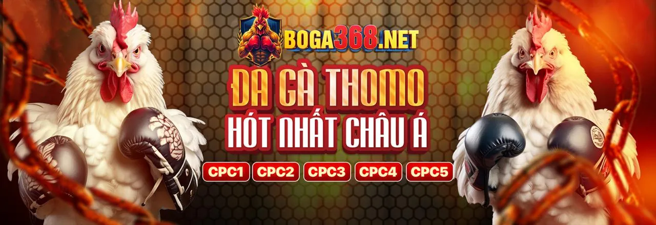 Đá Gà 67 Trực Tuyến 2026 - Đăng Nhập Tặng 188k