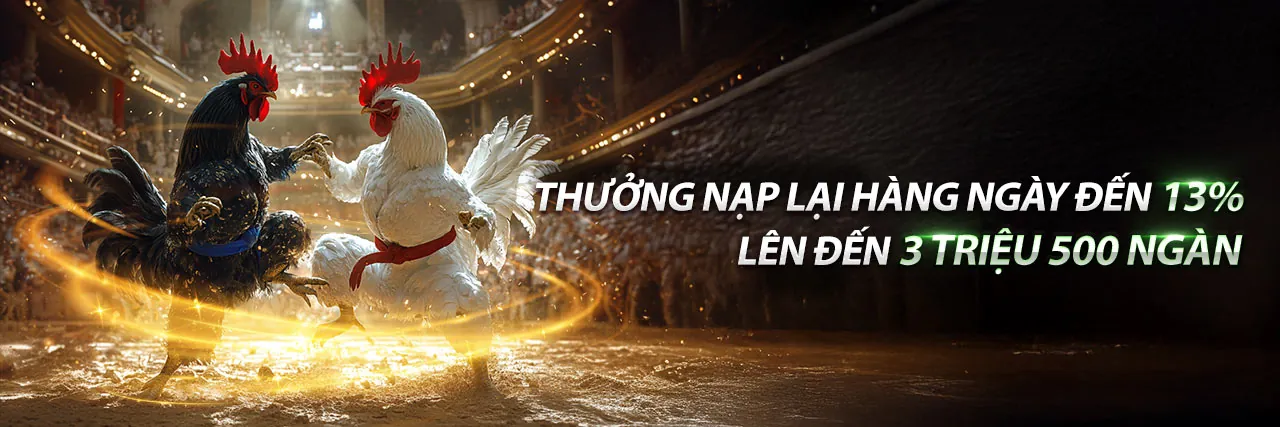 Tài nguyên Đá Gà 67 - Sân đấu gà trực tuyến
